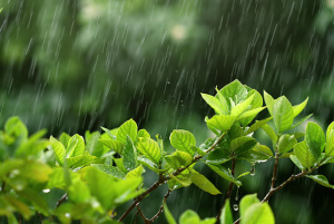 Stormwater Solutions: What’s the Right Balance Between Gray and Green?