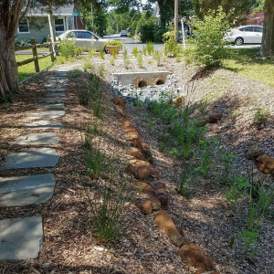 Sylvan Shores Stormwater Management System