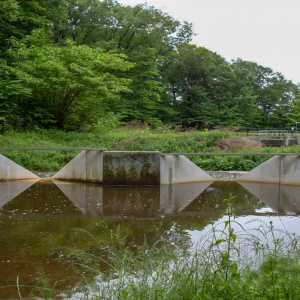 Kensico Reservoir Stormwater Basin Improvements