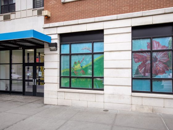 The Cultivating Hearts and Minds Pre K Center exterior highlighting window decorations inspired by the Bronx Zoo.