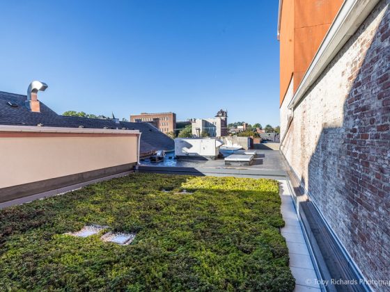 The rooftop of the historic theatre covered in greenery.