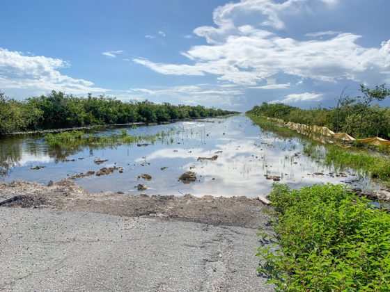 Water flowing over the land where a road was removed.