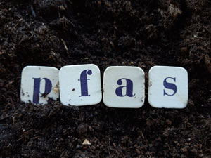 Four white tiles with the letters P, F, A, S laying on top of soil