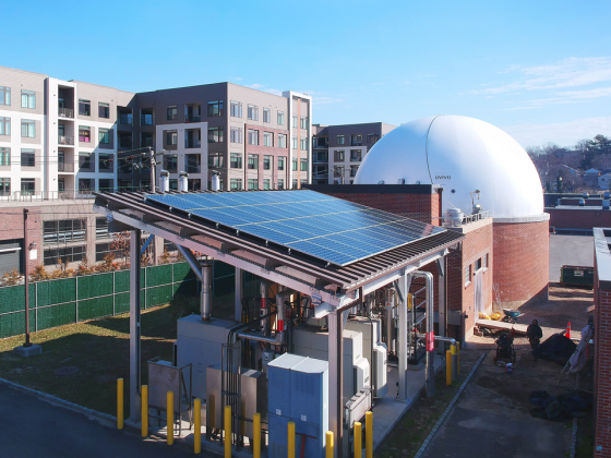 Side view of solar panels with gray office buildings in the background.